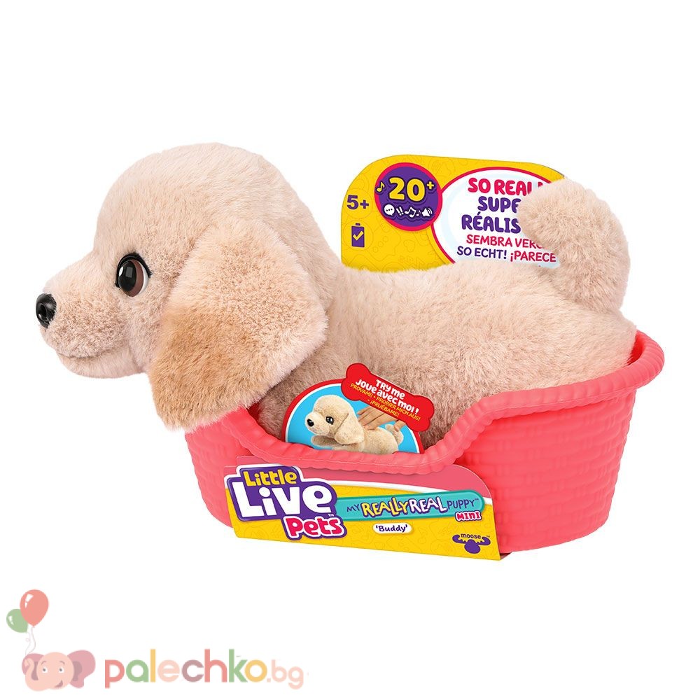 Интерактивно кученце Лабрадор Mini Buddy Little Live Pets - Image 4